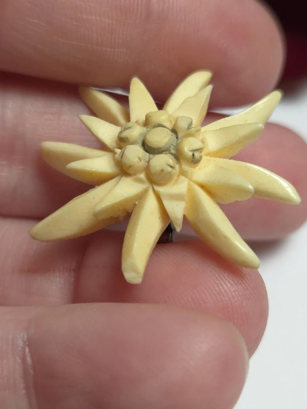 Vintage Antique Edelweiss Carved Celluliod Flower Brooch Old T Pin Brooch